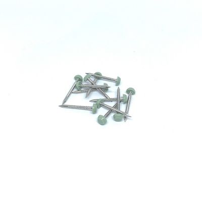 SS316 25MMの鮫ポイントUPVCの版のための環状リング釘