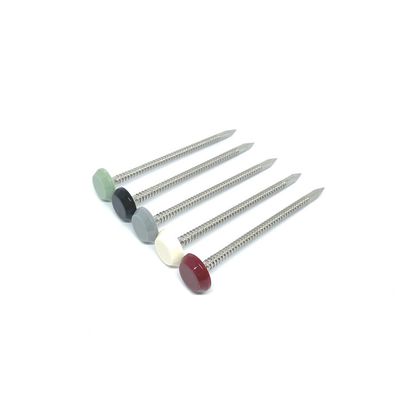 環状のすねが付いている65MMの長さのナイロン プラスチック ヘッド釘